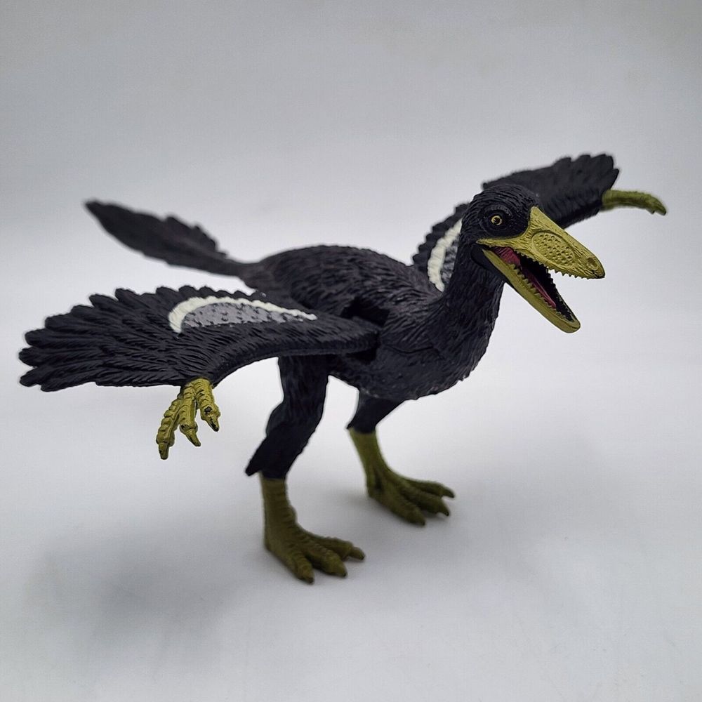 Dinosaur Archaeopteryx  Rare 5" tall 7" long‎ Fully Posable Toy Figure Black